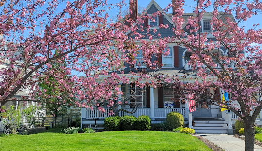 chimney cleaning and reconstruction in orange county new york