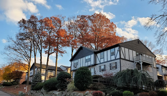 chimney cleaning and reconstruction in orange county new york